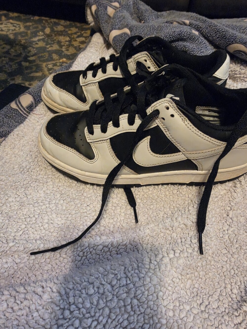 Nike Dunk Low Big Kids Size 6y